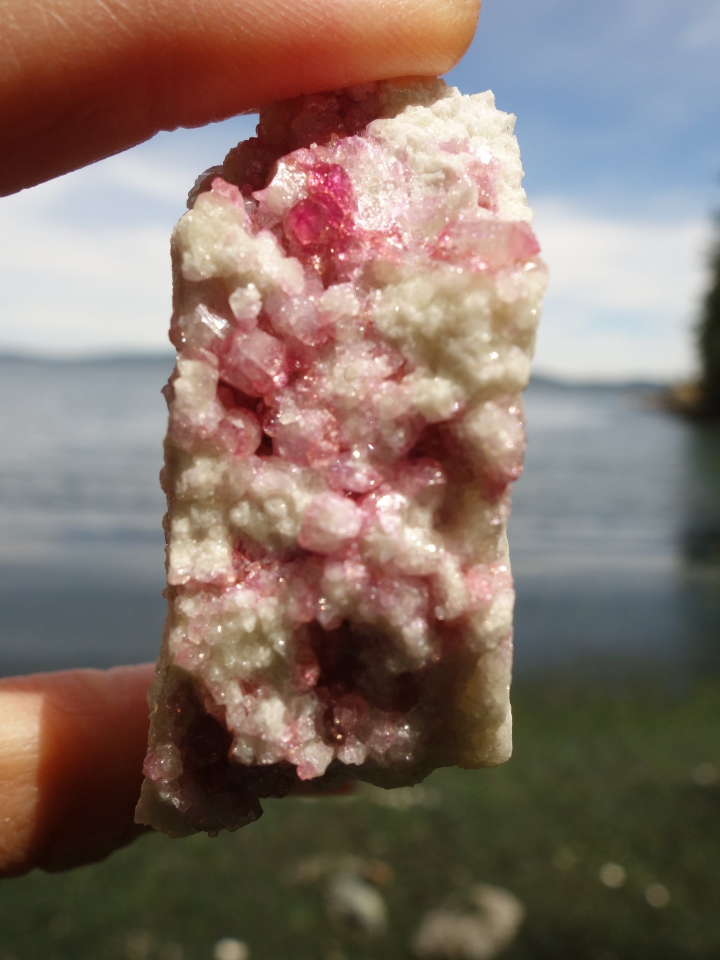 Strawberry Pink Gemmy Crystals Vesuvanite Cluster From Quebec, Canada - Metiz Tier Price
