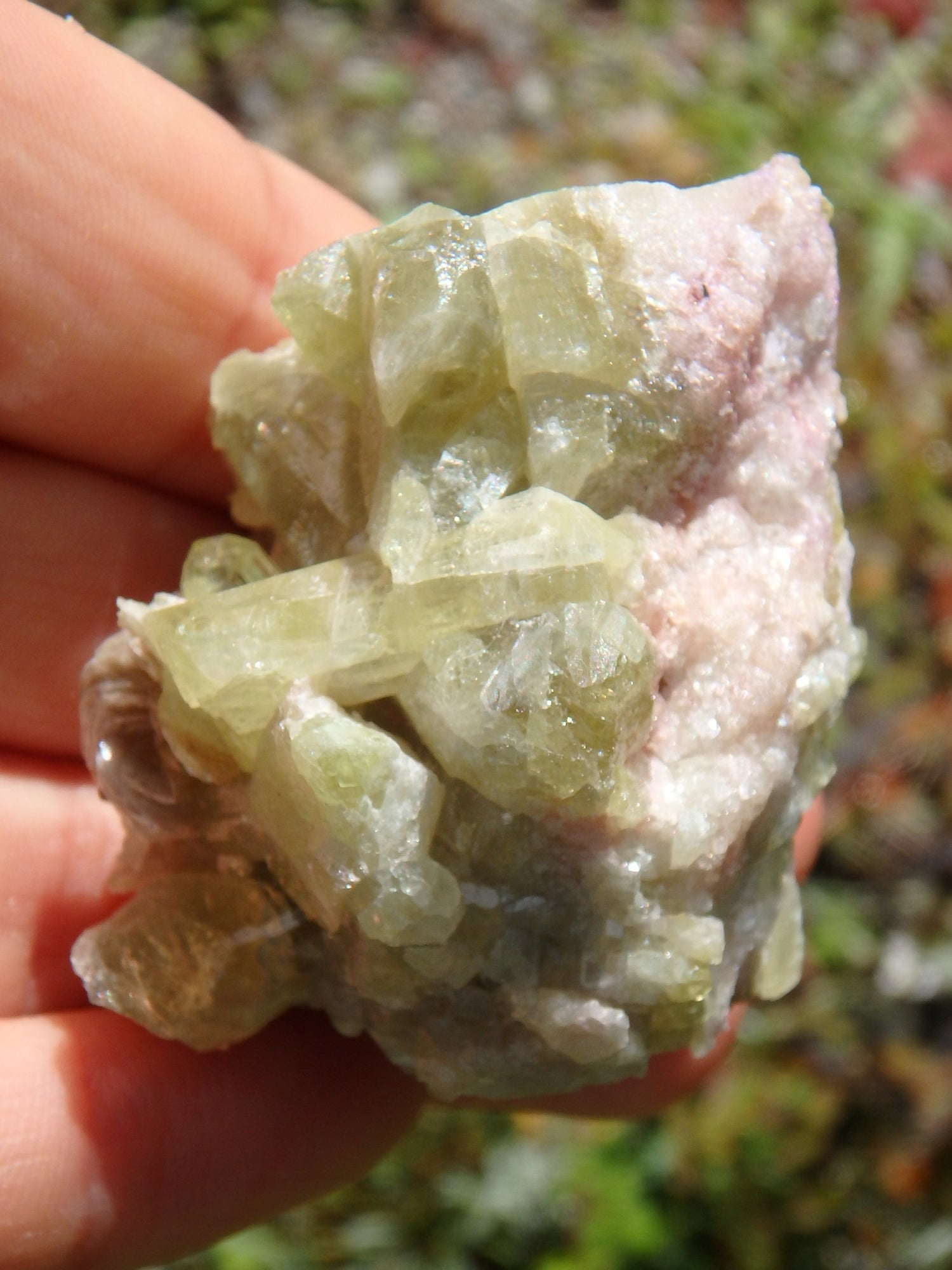 Large Lime Green Points Lavender Inclusions & Caves Vesuvanite From Quebec, Canada - Earth Family Crystals