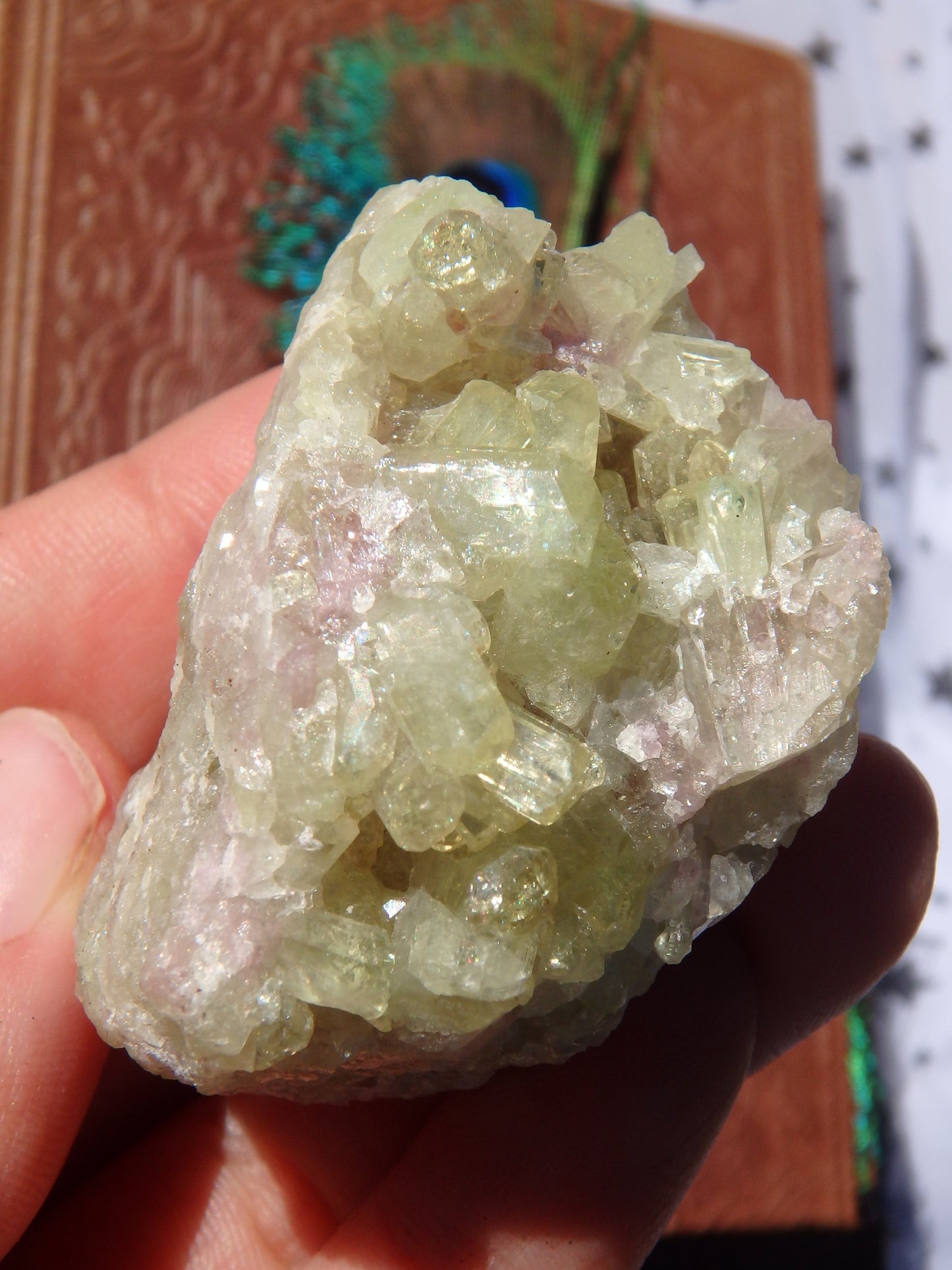 Shiny Green Vesuvanite Natural Cluster From Quebec, Canada - Metiz Tier Price