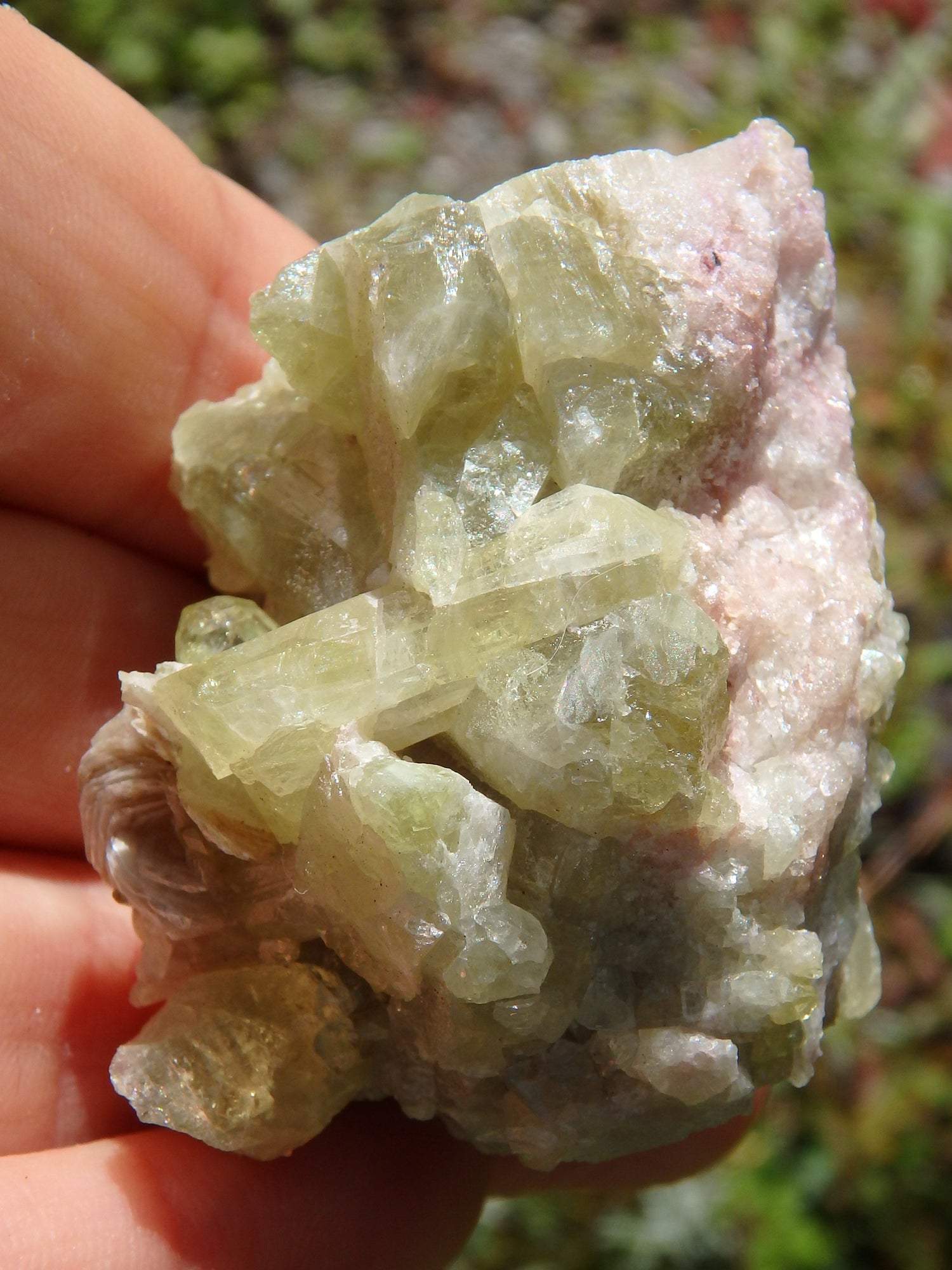 Large Lime Green Points Lavender Inclusions & Caves Vesuvanite From Quebec, Canada - Earth Family Crystals