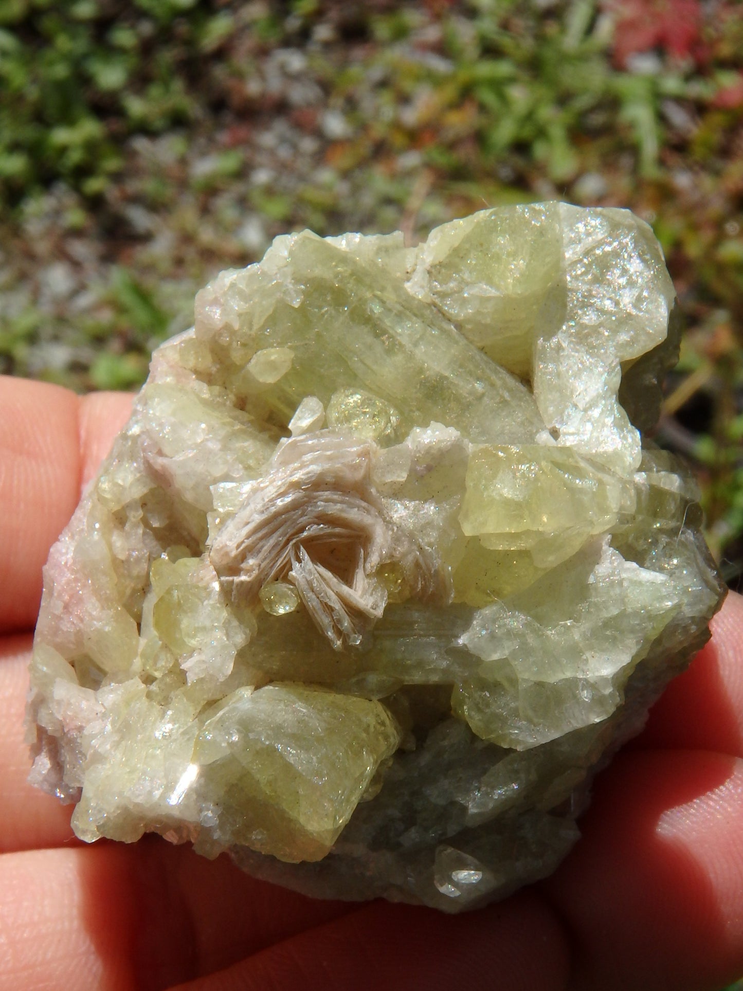 Large Lime Green Points Lavender Inclusions & Caves Vesuvanite From Quebec, Canada - Earth Family Crystals
