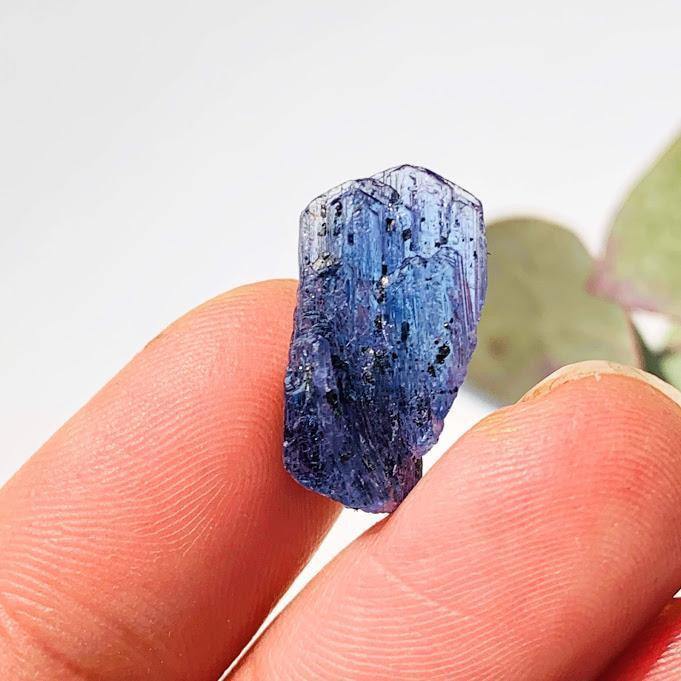  9.5CT High Grade Multi Terminated Gemmy Tanzanite Specimen in Collectors Box #3