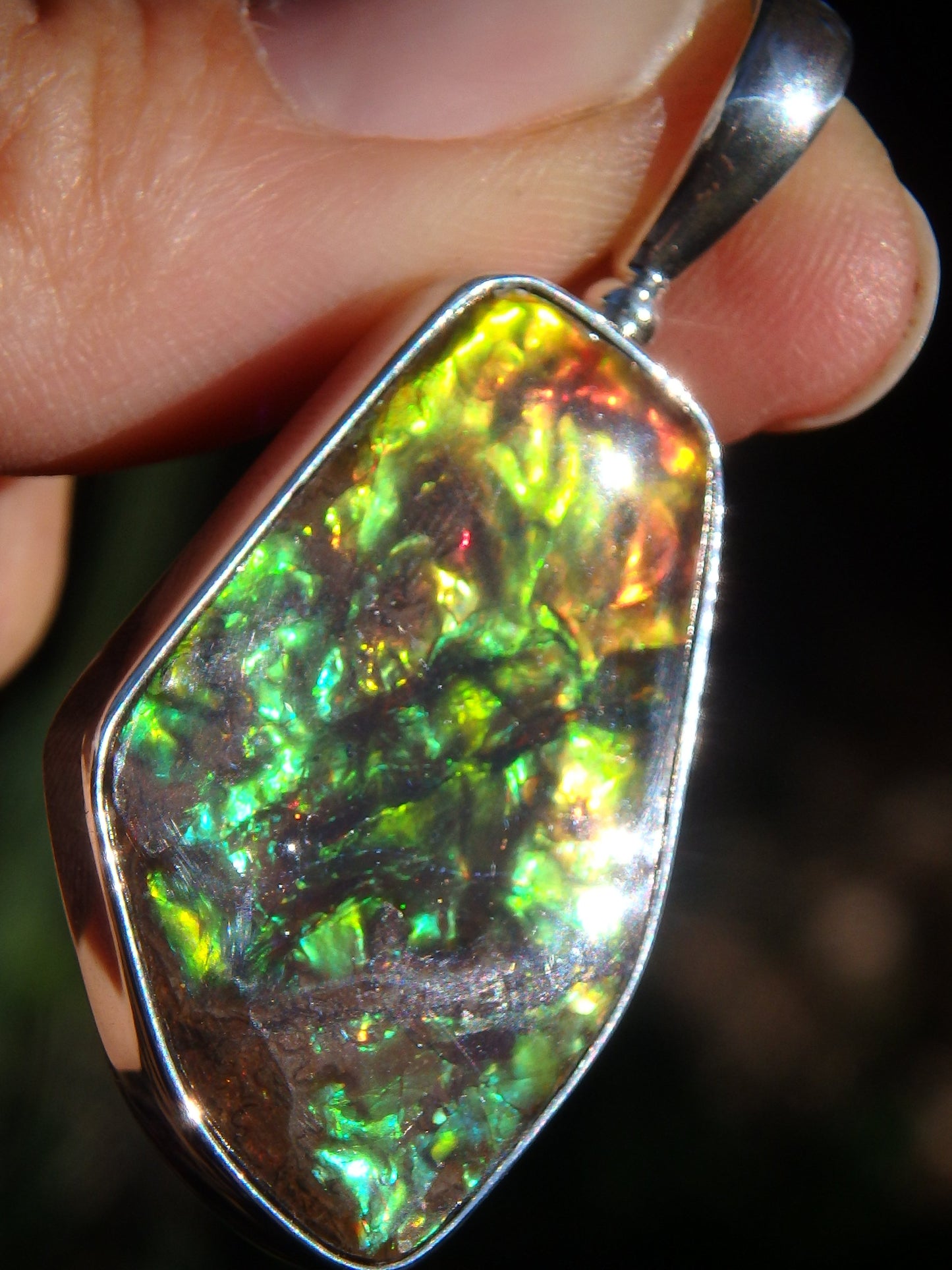 Incredible 3D Color Depth Flashes Canadian Ammolite Pendant in Sterling Silver (Includes Silver Chain) - Metiz Tier Price