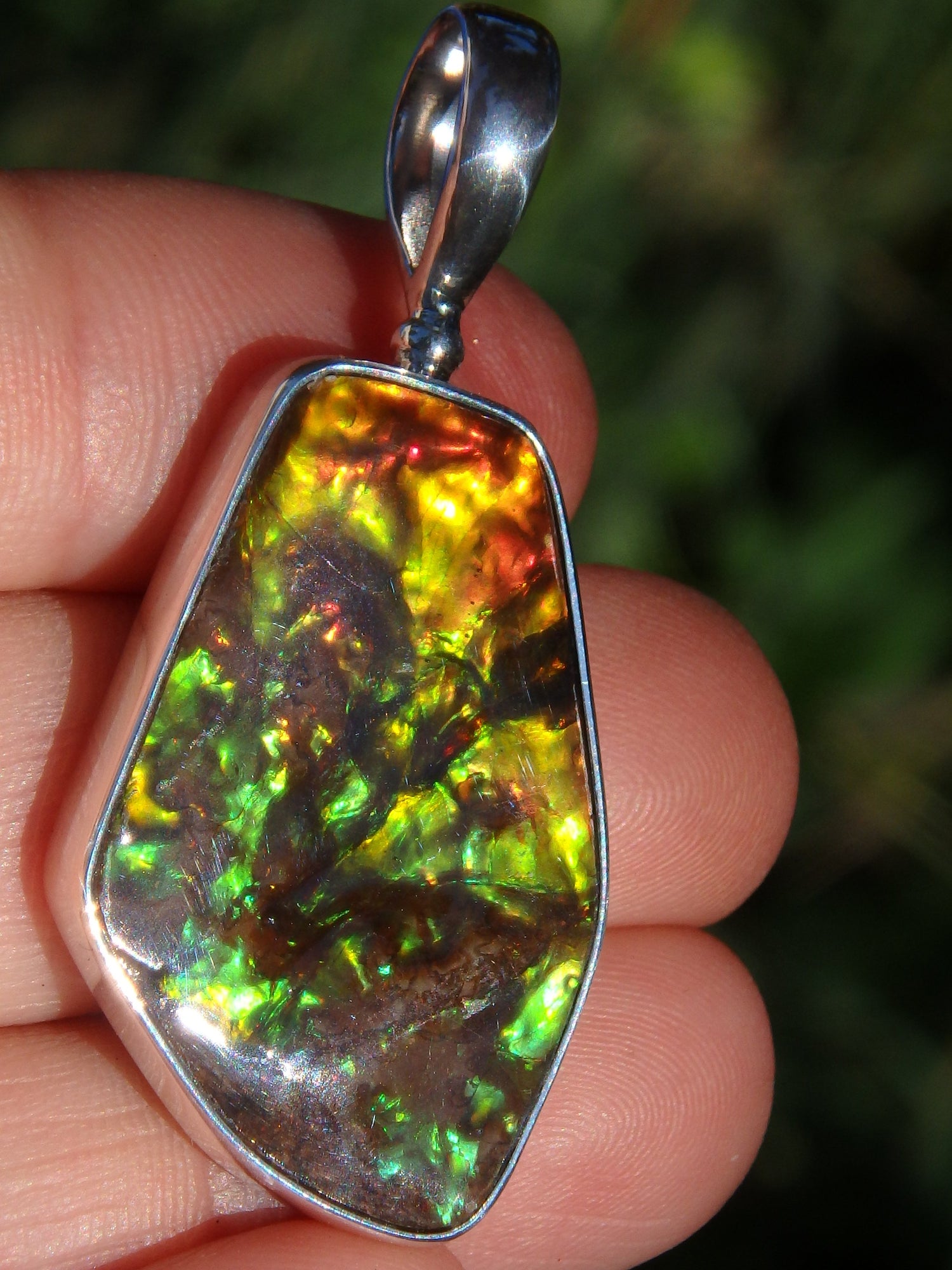 Incredible 3D Color Depth Flashes Canadian Ammolite Pendant in Sterling Silver (Includes Silver Chain) - Metiz Tier Price