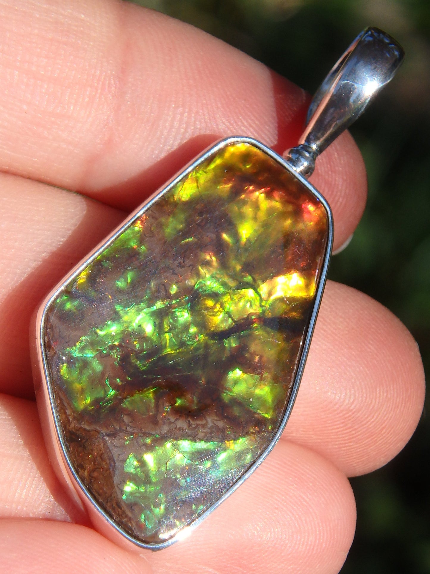 Incredible 3D Color Depth Flashes Canadian Ammolite Pendant in Sterling Silver (Includes Silver Chain) - Metiz Tier Price