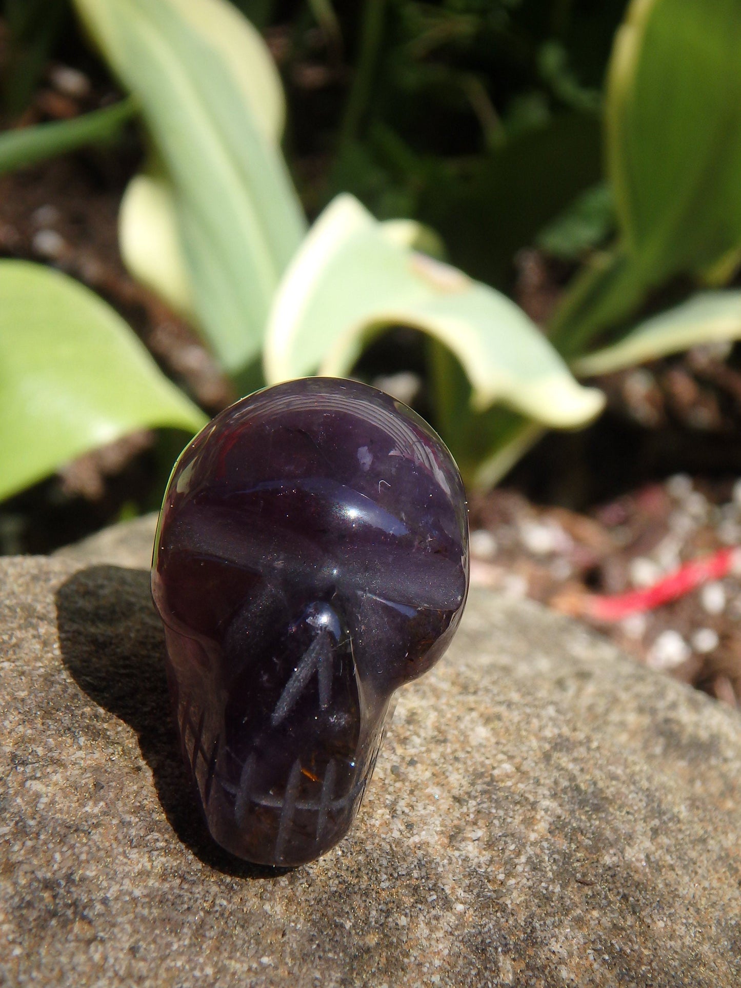  Auralite-23 Skull Carving From Canada 1