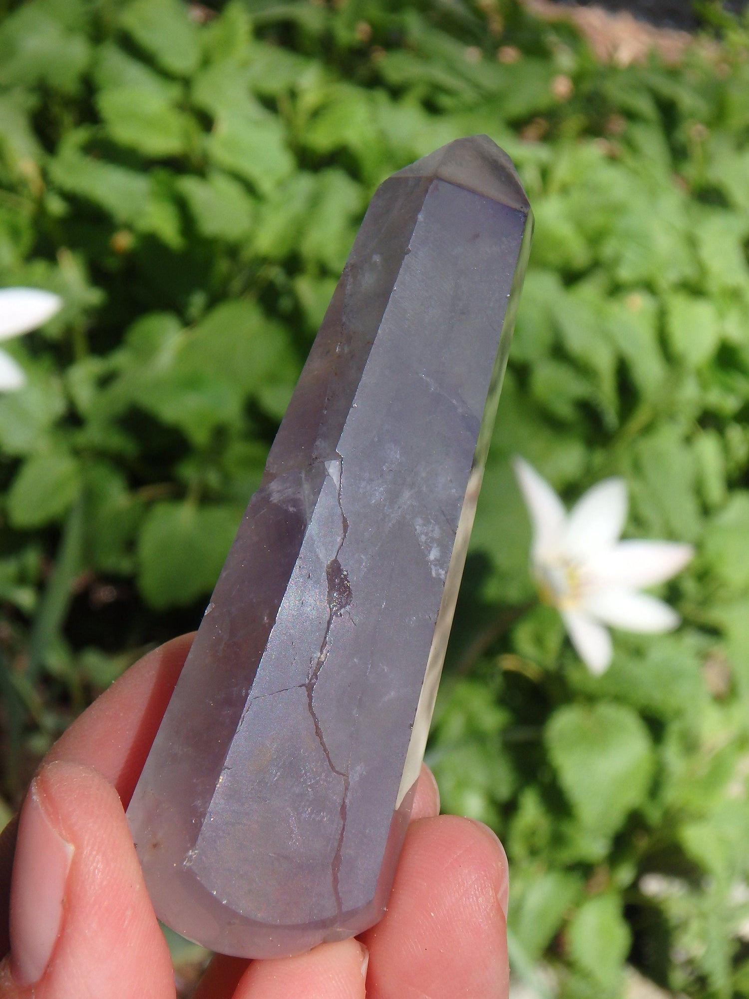  Auralite-23 Polished Wand From Canada (REDUCED)