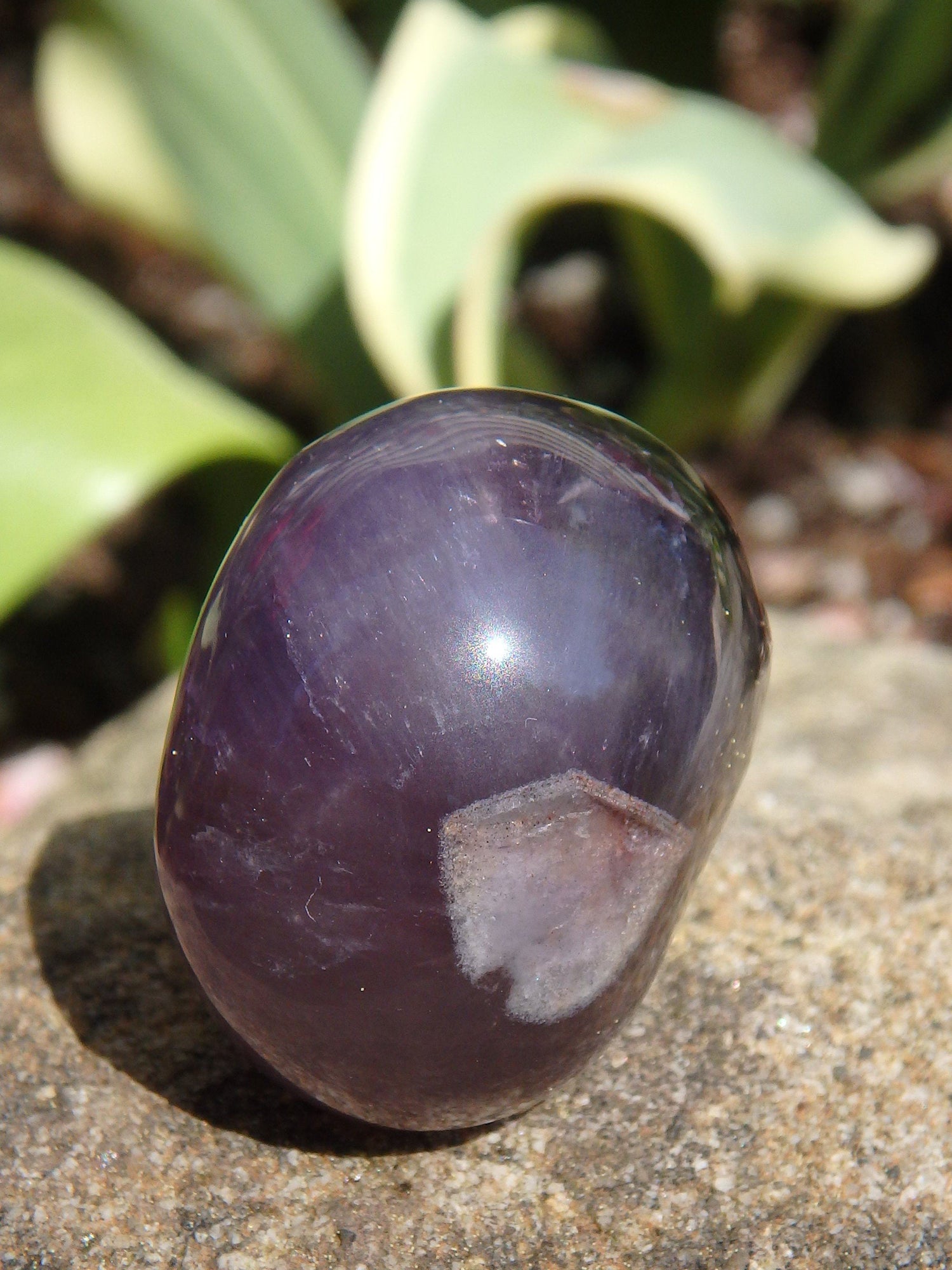  Auralite-23 Skull Carving From Canada 1