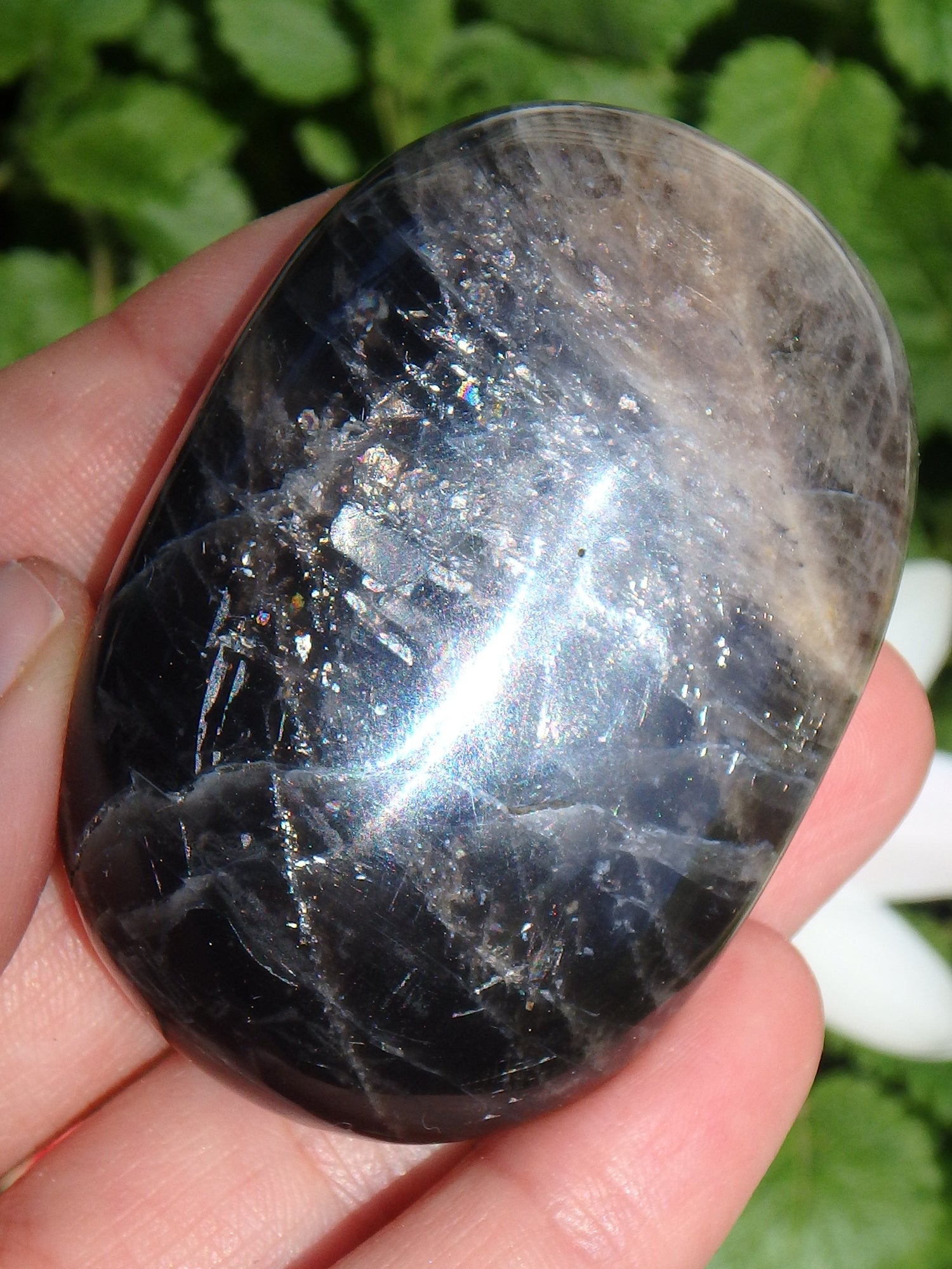 Rainbow Inclusions Black Moonstone Hand Held Specimen From Madagascar - Metiz Tier Price