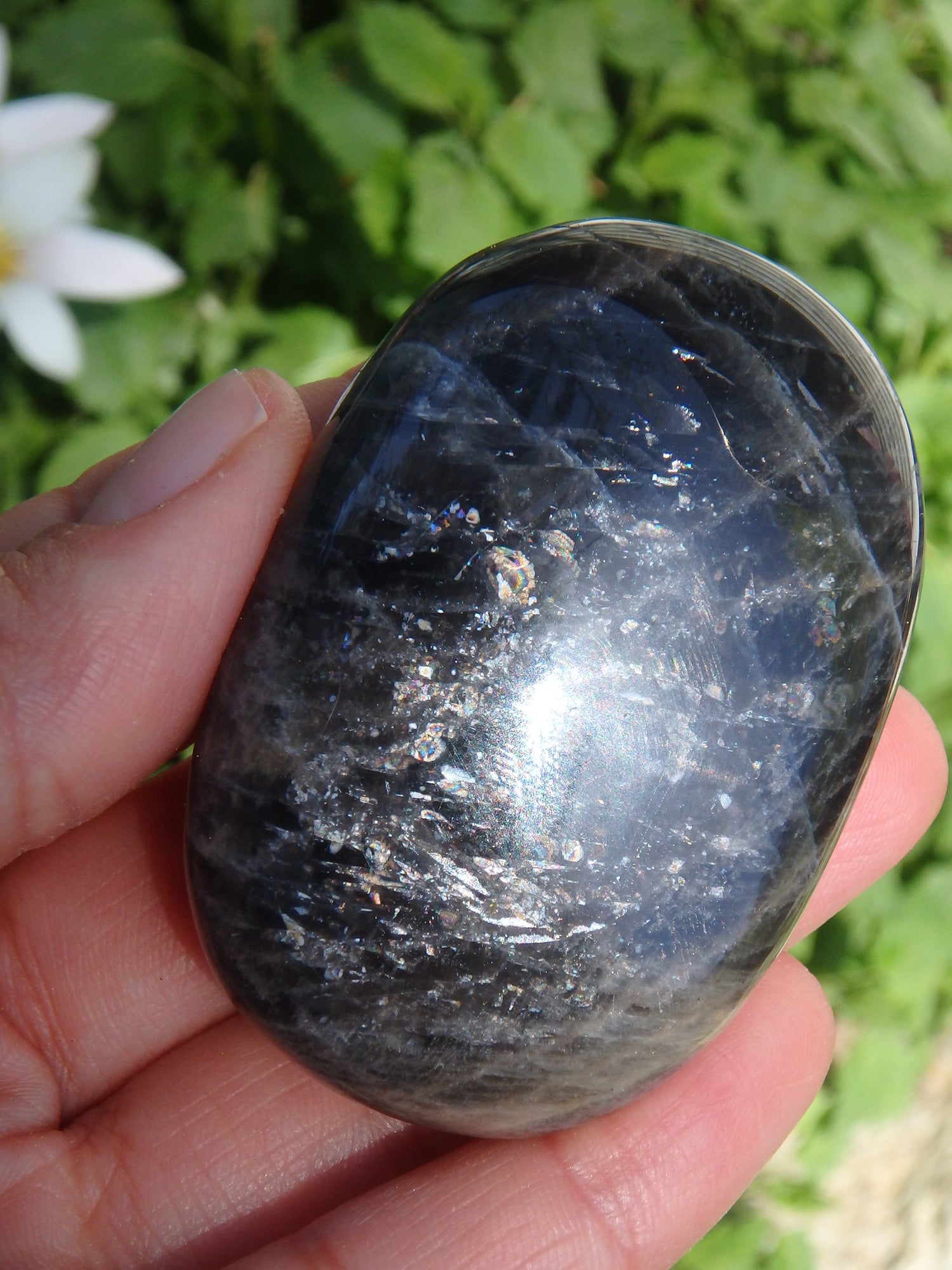Rainbow Inclusions Black Moonstone Hand Held Specimen From Madagascar - Metiz Tier Price
