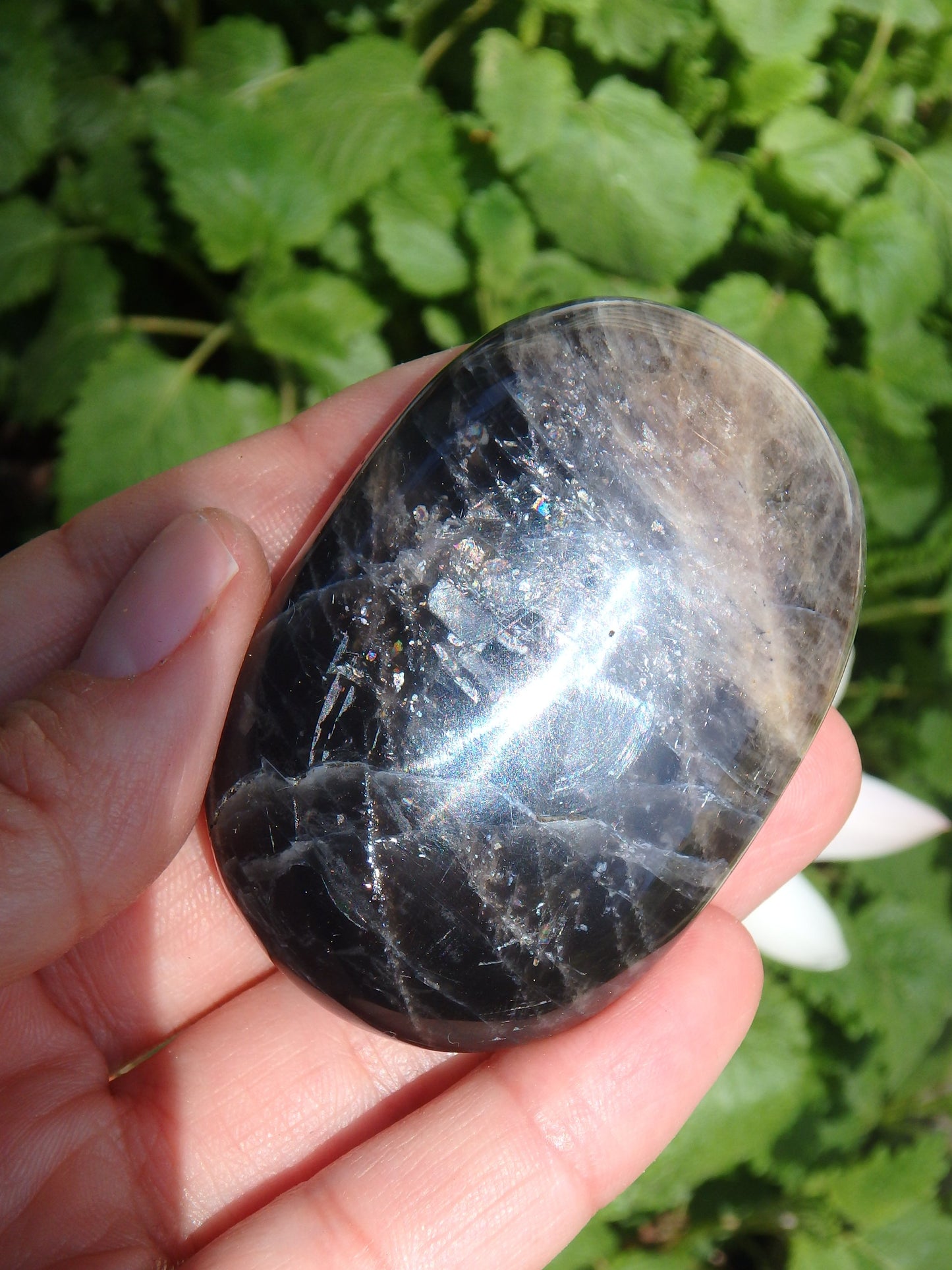 Rainbow Inclusions Black Moonstone Hand Held Specimen From Madagascar - Metiz Tier Price
