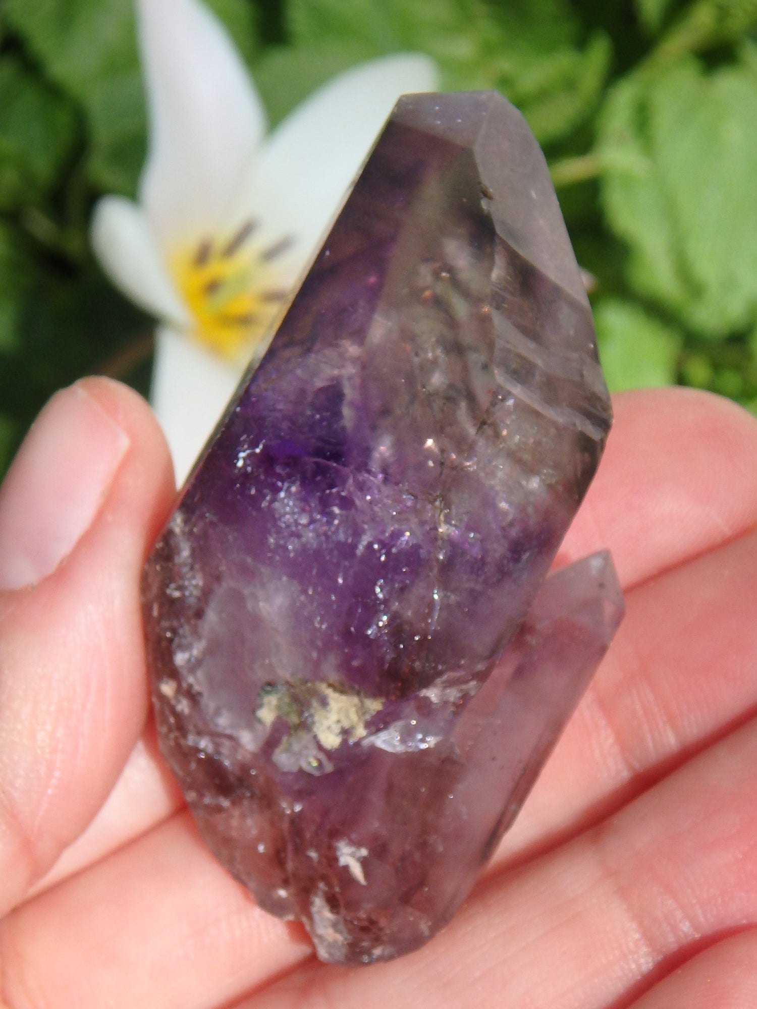 Rare~Moving Water Bubble Deep Purple Brandberg Amethyst Point From Namibia - Earth Family Crystals