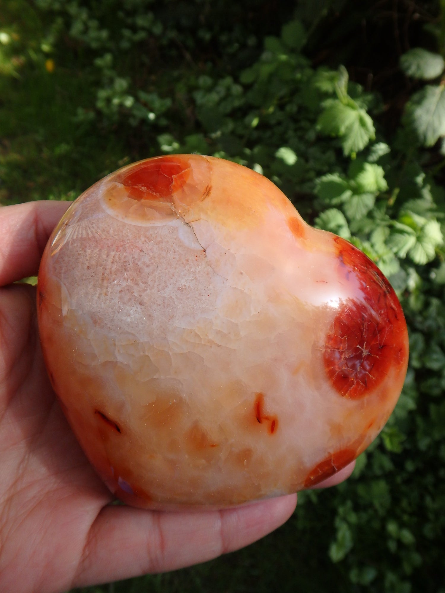 Incredible Colors~Large Carnelian Heart With Deep Druzy Cave From Madagascar - Metiz Tier Price