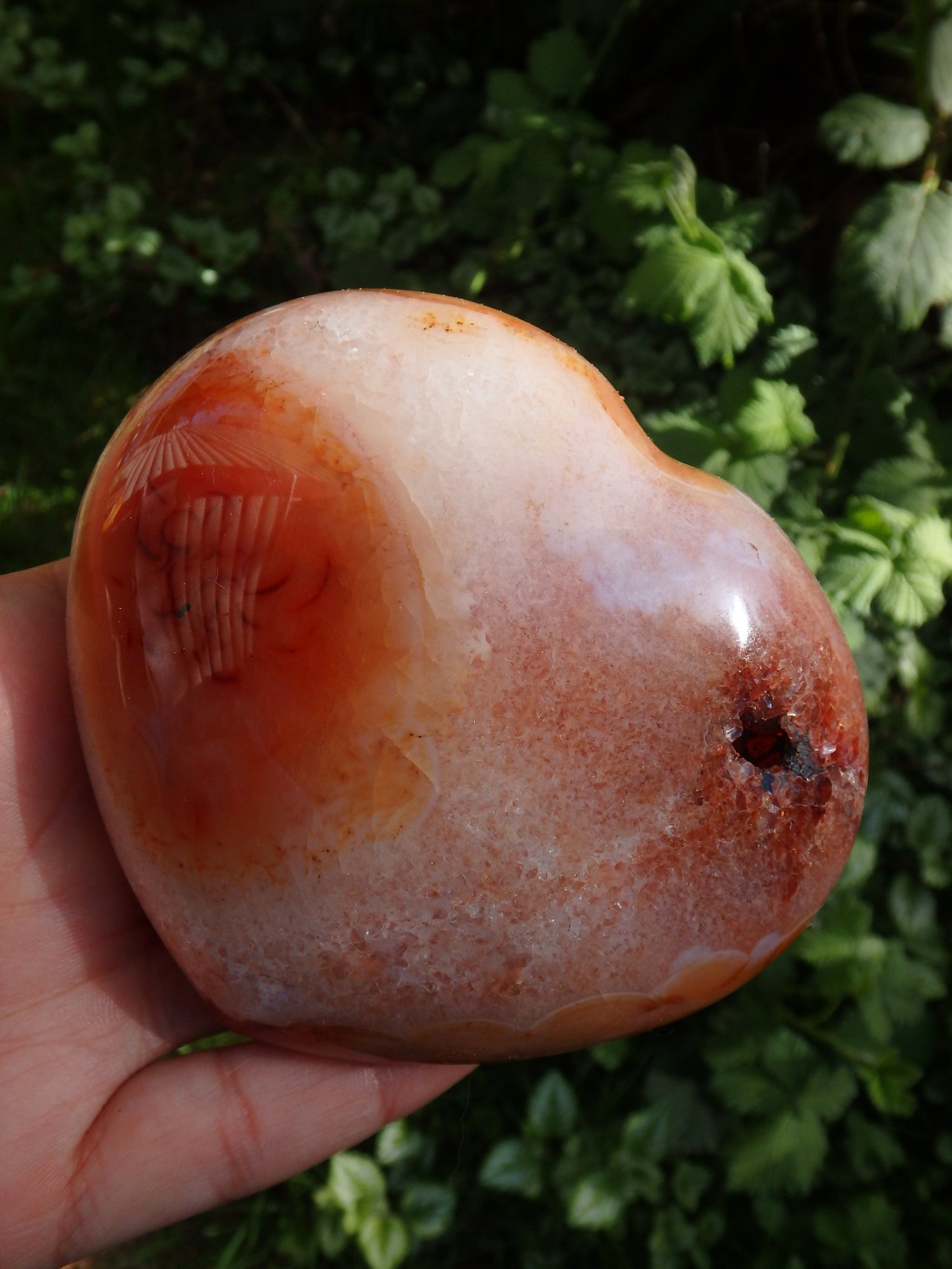 Incredible Colors~Large Carnelian Heart With Deep Druzy Cave From Madagascar - Metiz Tier Price