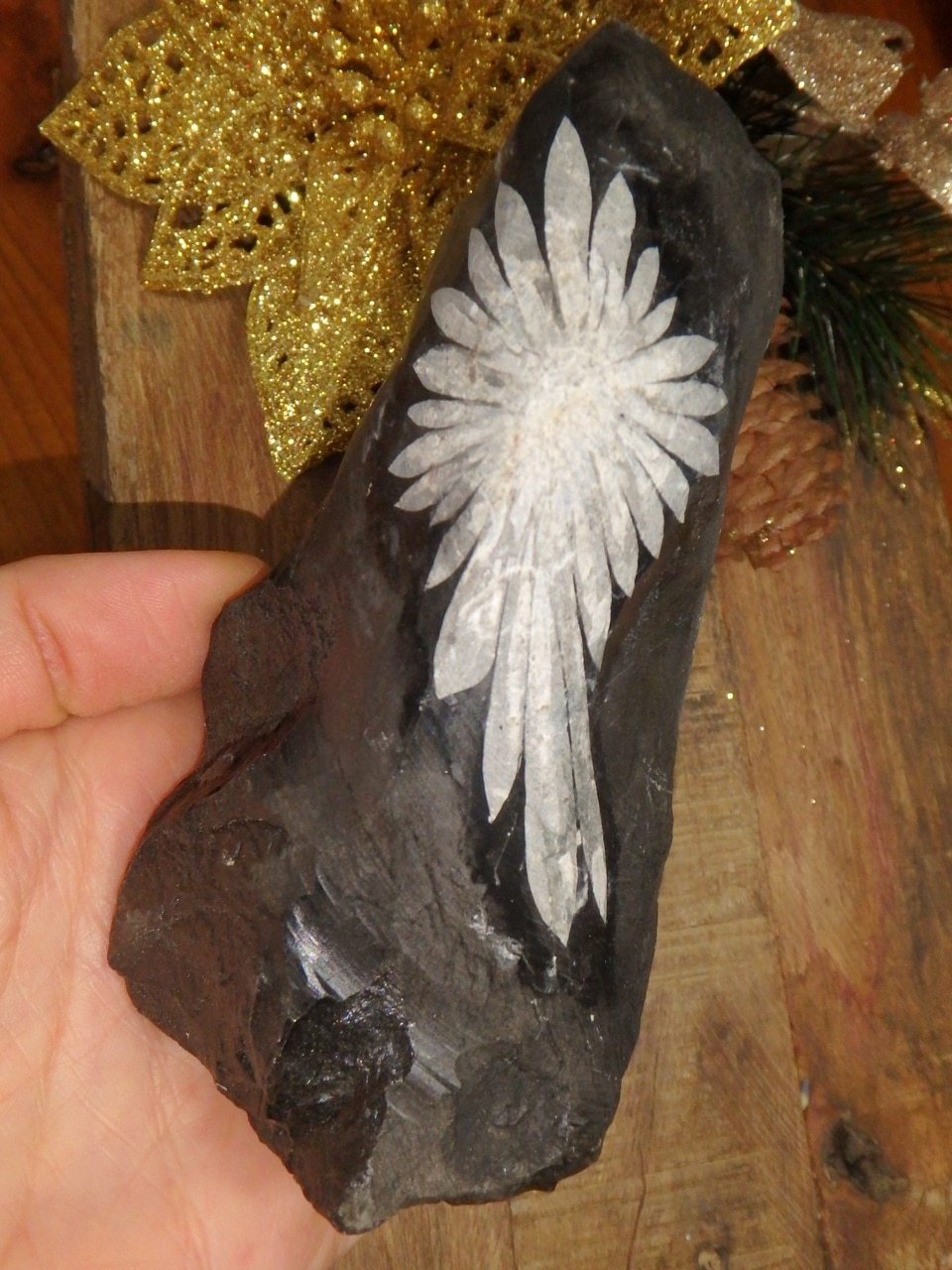Natural Large Chrysanthemum Stone Flower Display Specimen 1 - Earth Family Crystals