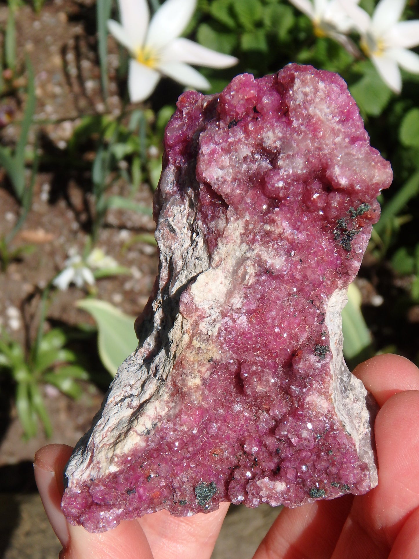 Sparkling Fuchsia Cobaltine Pink Calcite Natural Specimen - Metiz Tier Price