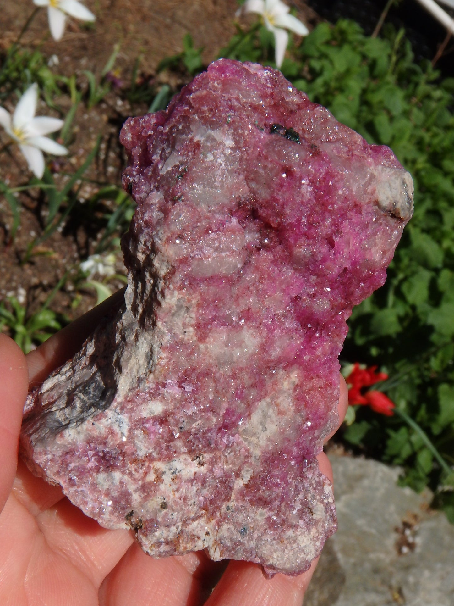 Sparkling Fuchsia Cobaltine Pink Calcite Natural Specimen - Metiz Tier Price