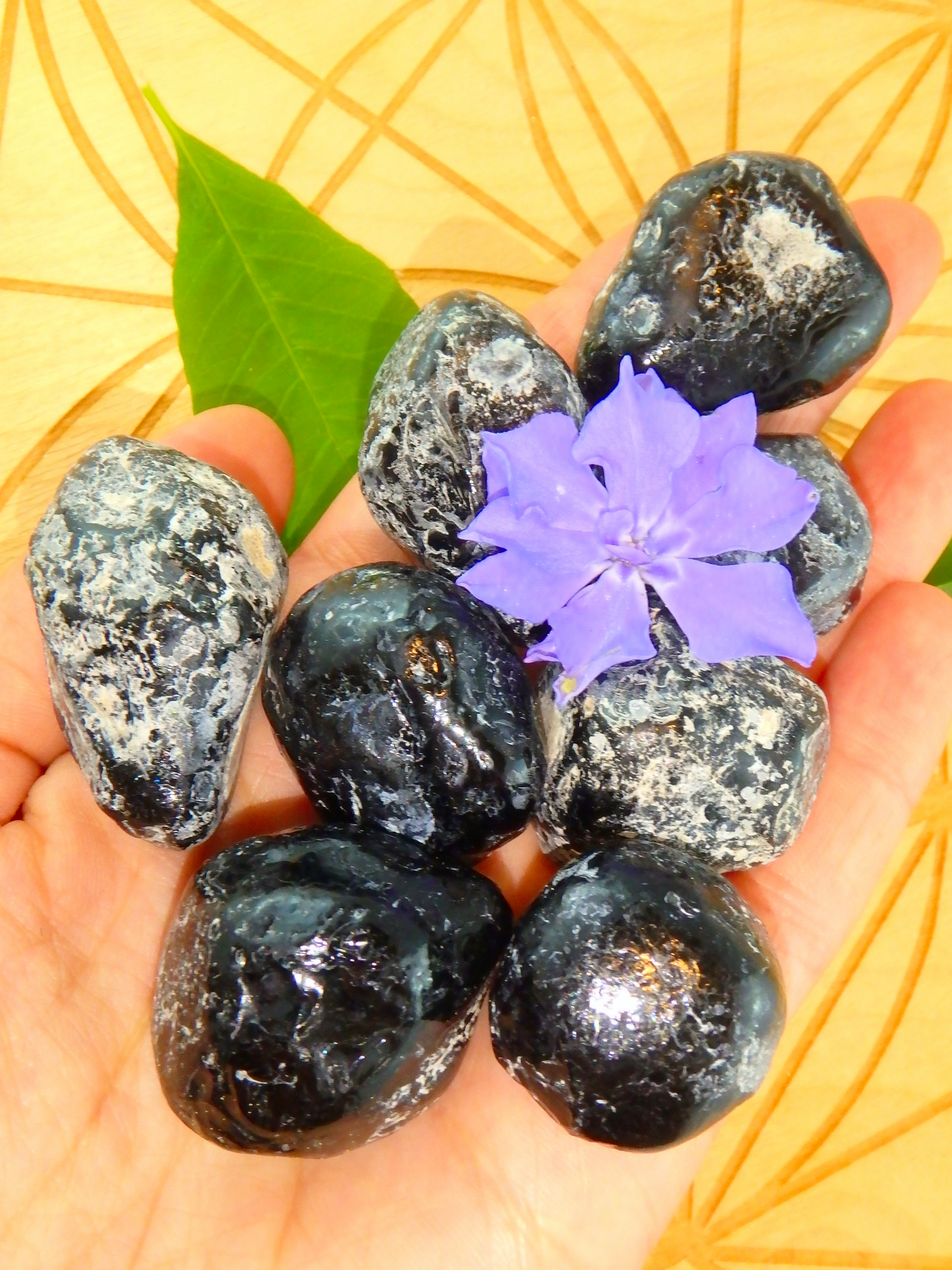 Set of 2~Arizona Natural Apache Tear Hand Held Specimens - Metiz Tier Price
