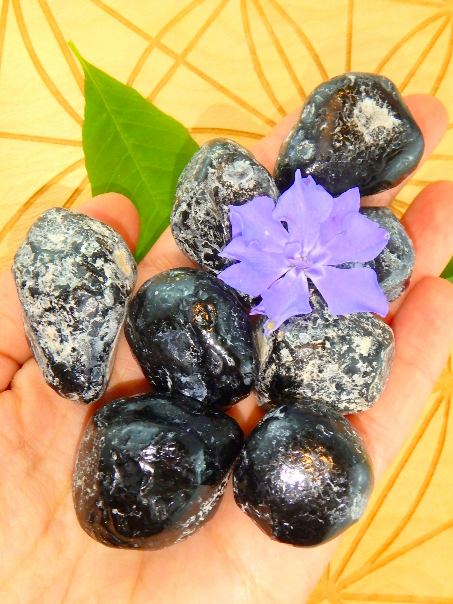 Set of 2~Arizona Natural Apache Tear Hand Held Specimens - Metiz Tier Price