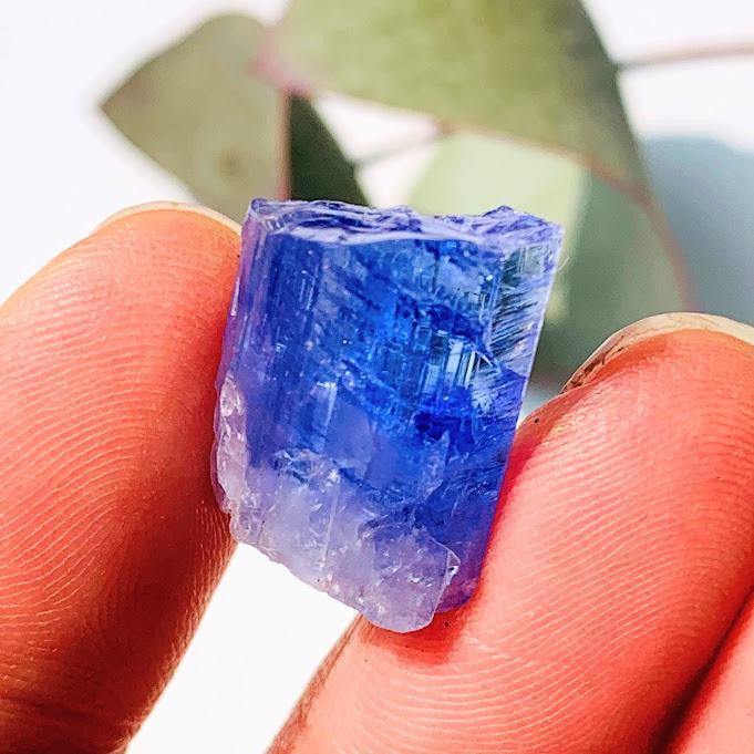  19CT High Grade Gemmy Tanzanite Specimen in Collectors Box #2