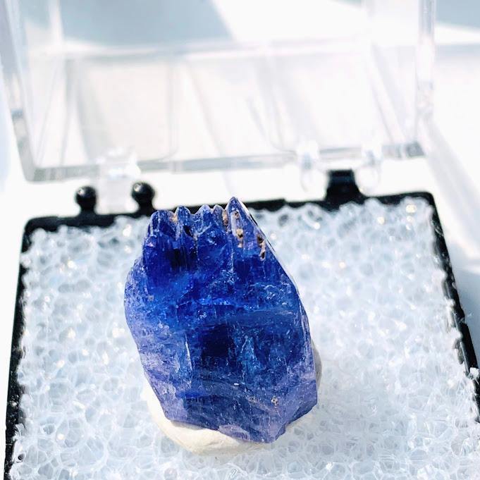  15.5CT High Grade Multi Terminated Gemmy Tanzanite Specimen in Collectors Box #1