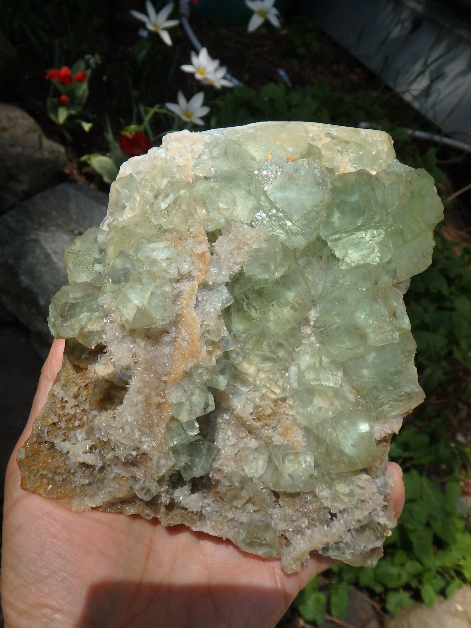 Incredible Brilliance~ Large Green Fluorite With Mini Quartz Points on Matrix Display Specimen - Metiz Tier Price