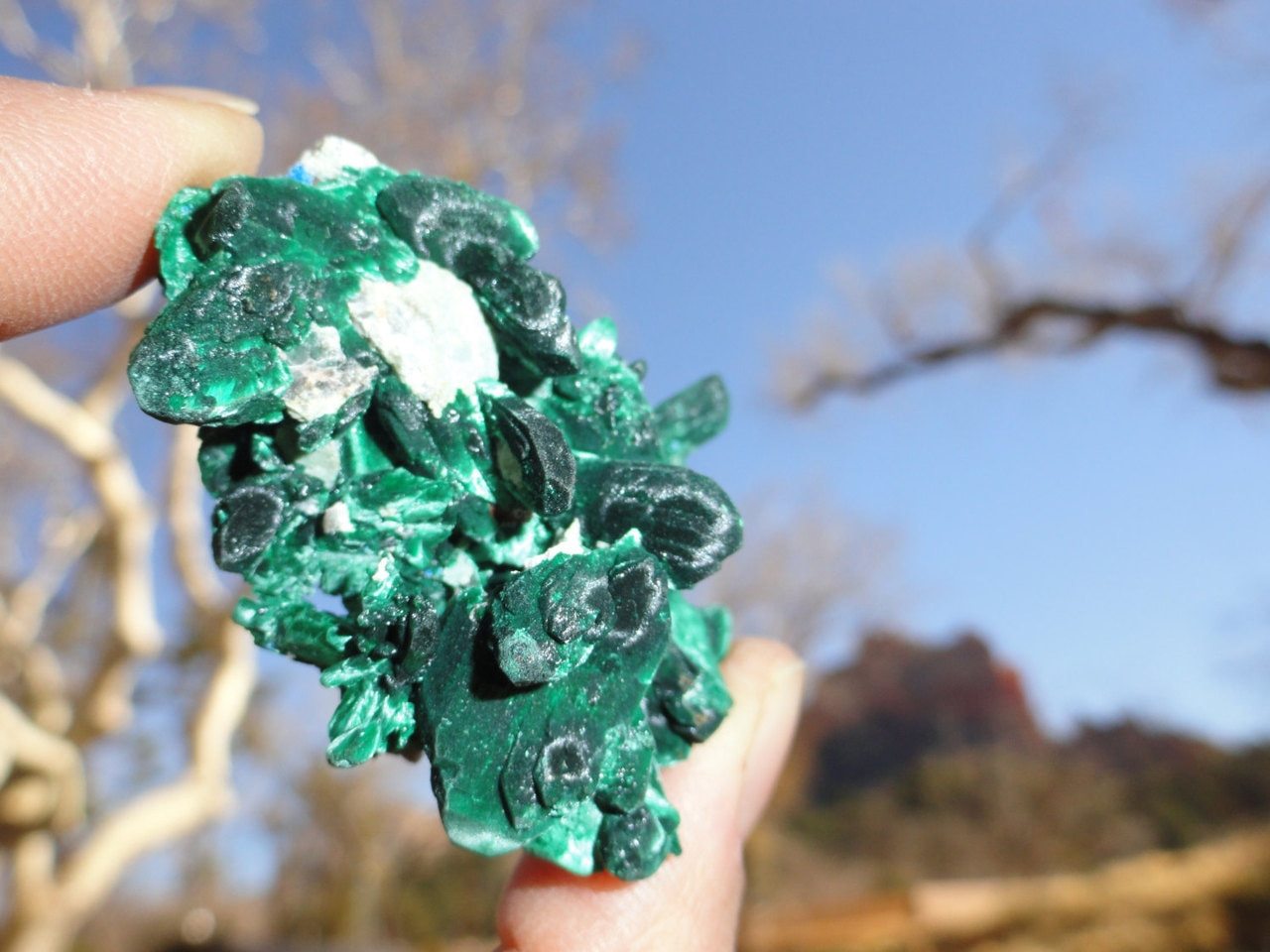 Gorgeous MALACHITE & AZURITE Natural CLUSTER* - Earth Family Crystals