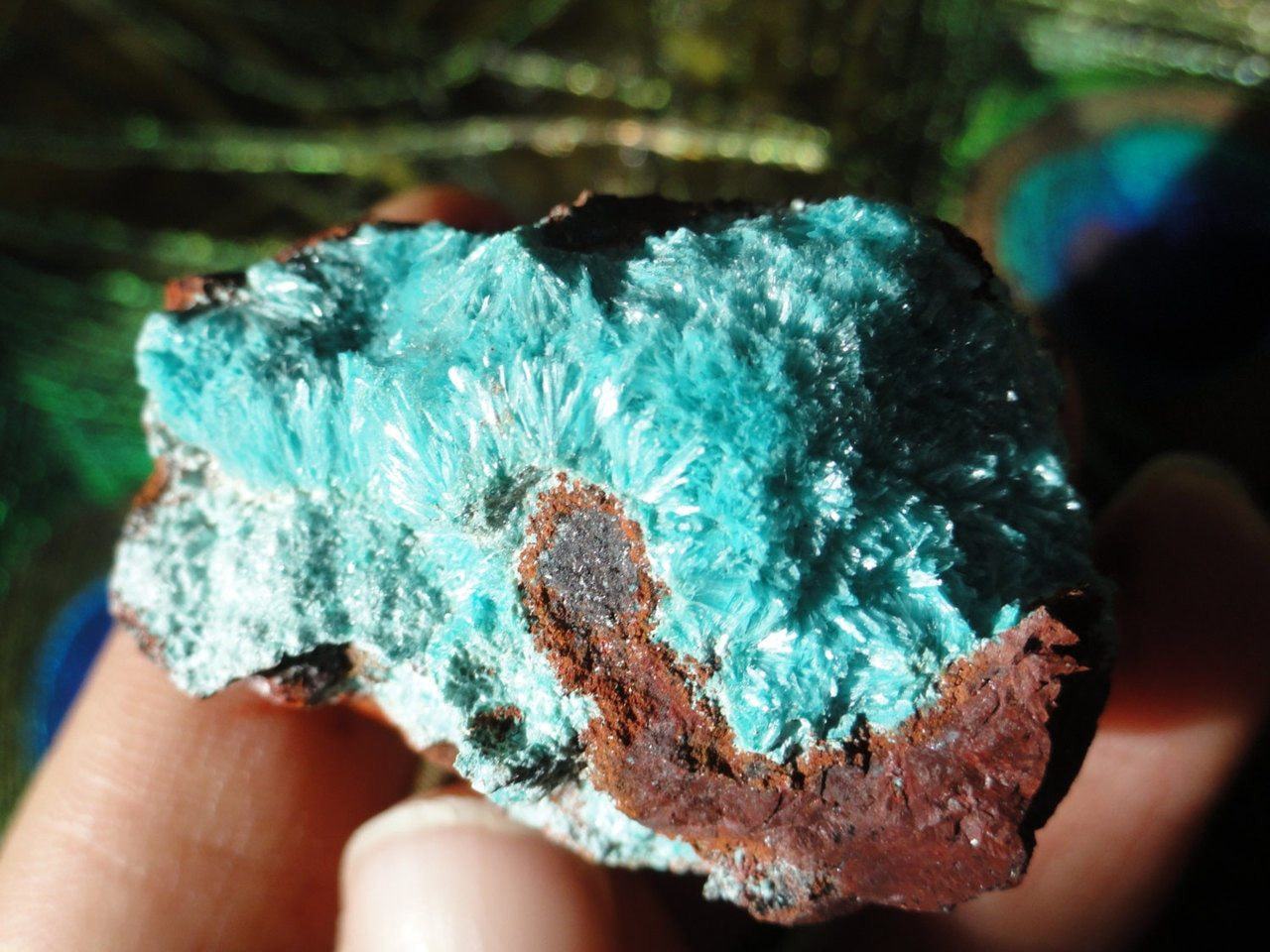  Delicate Fuzzy Blue ROSASITE SPECIMEN*