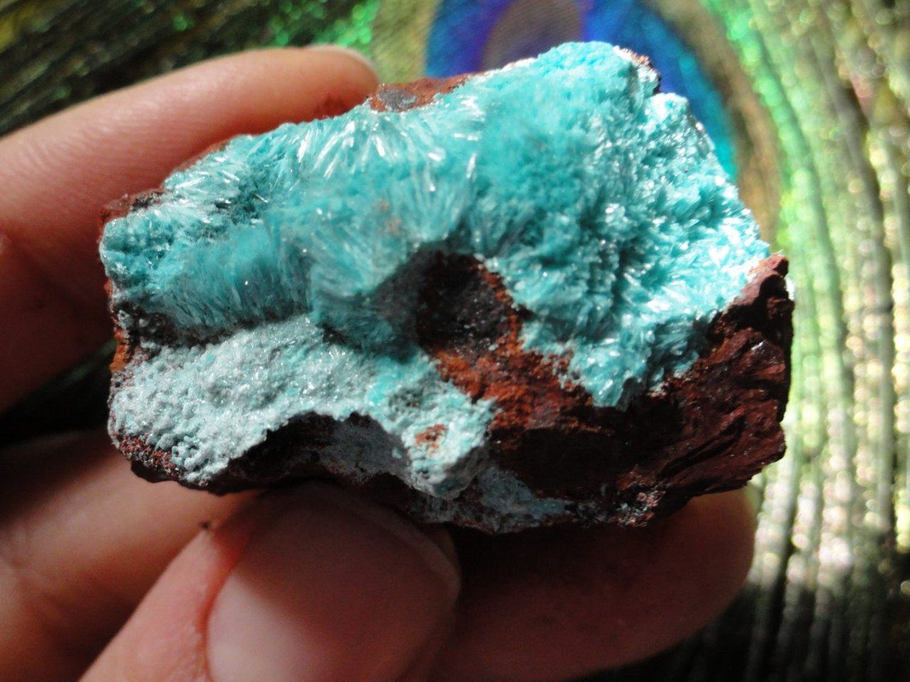  Delicate Fuzzy Blue ROSASITE SPECIMEN*