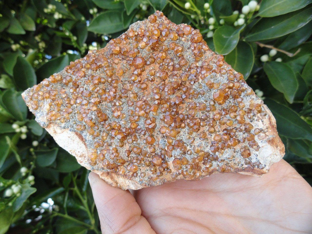  Amazing Orange SPESSARTINE GARNET ~ Stone of  Balance, Creativity, Happiness*