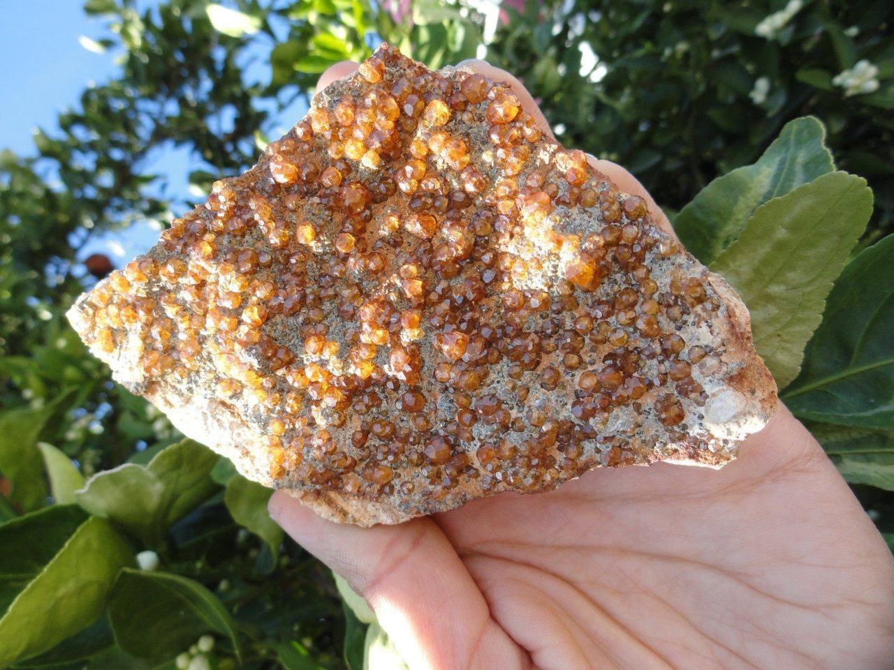 Amazing Orange SPESSARTINE GARNET ~ Stone of  Balance, Creativity, Happiness*