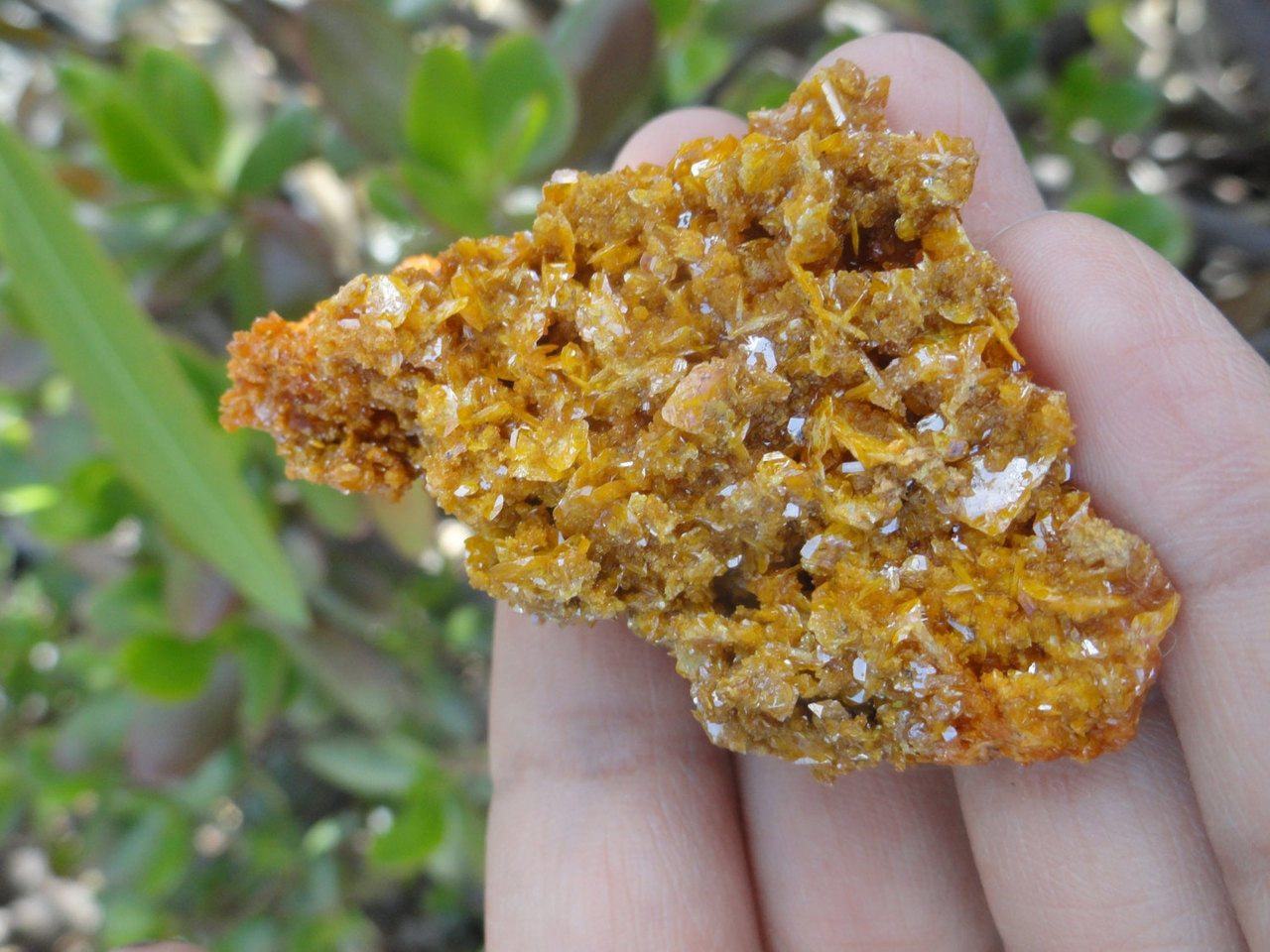  Bright Orange Wulfenite CLUSTER From Sonora. Mexico*