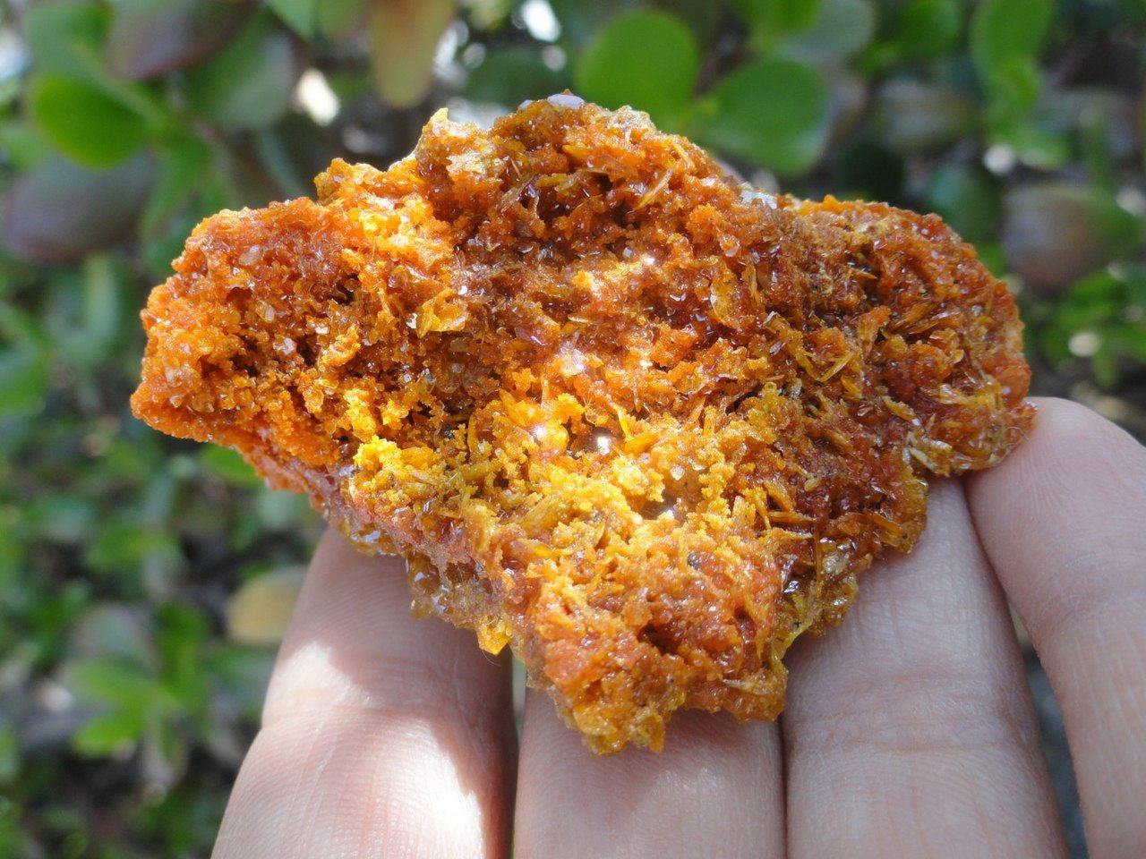  Bright Orange Wulfenite CLUSTER From Sonora. Mexico*