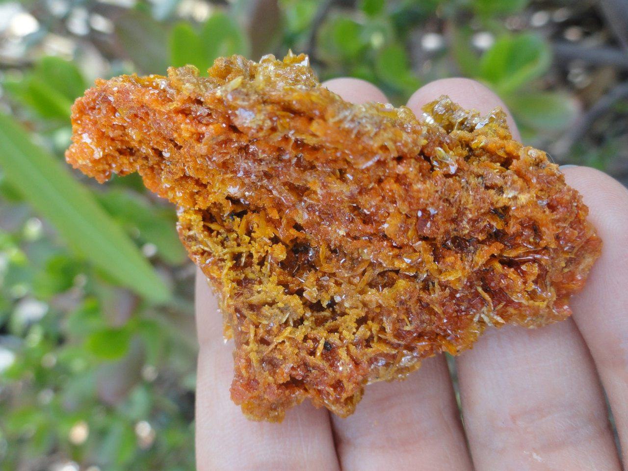  Bright Orange Wulfenite CLUSTER From Sonora. Mexico*