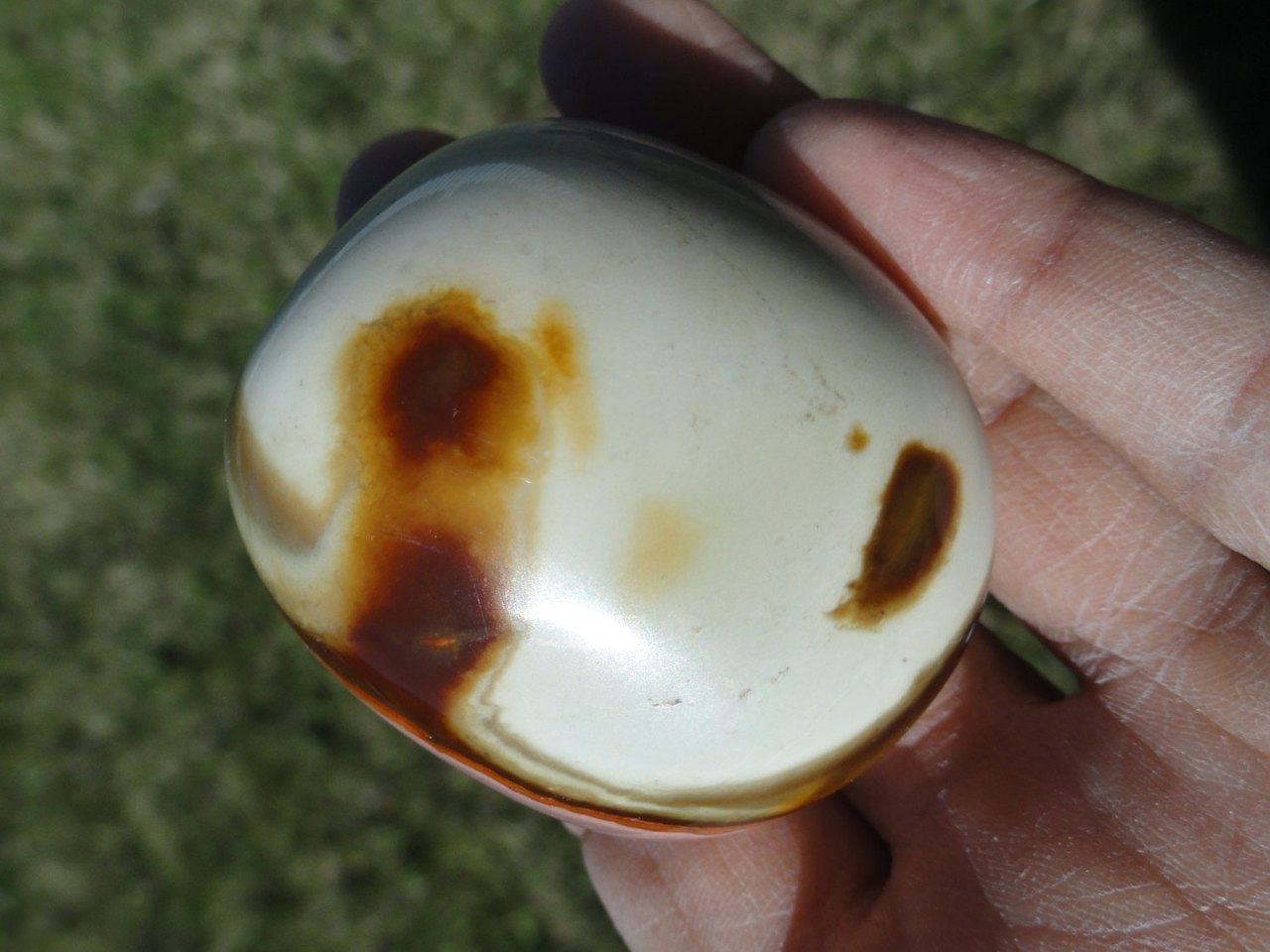  Creamy Pink & Brown POLYCHROME JASPER Palm Stone *Aka Desert Jasper