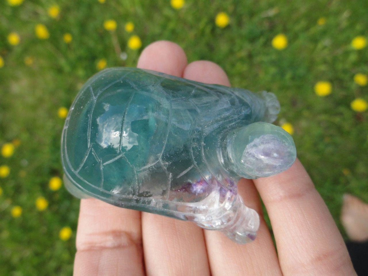  Curious Green FLUORITE TURTLE ~ Stone of Stress Relief,Confidence,Peaceful Dreams*