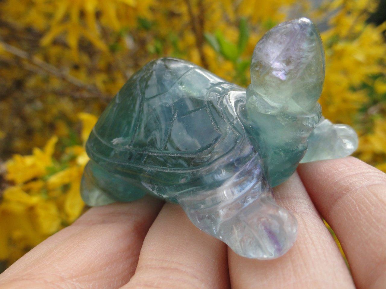 Curious Green FLUORITE TURTLE ~ Stone of Stress Relief,Confidence,Peaceful Dreams*