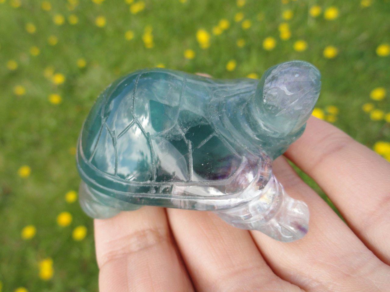  Curious Green FLUORITE TURTLE ~ Stone of Stress Relief,Confidence,Peaceful Dreams*