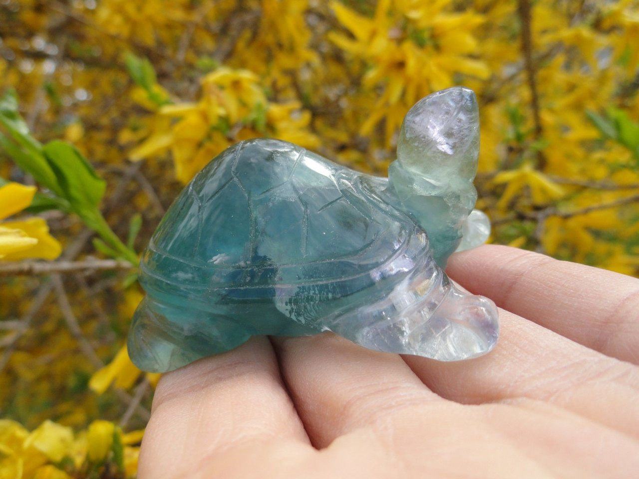  Curious Green FLUORITE TURTLE ~ Stone of Stress Relief,Confidence,Peaceful Dreams*