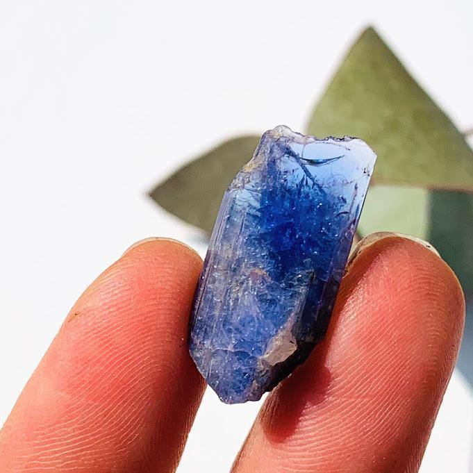  18CT High Grade Terminated Gemmy Tanzanite Specimen in Collectors Box #4