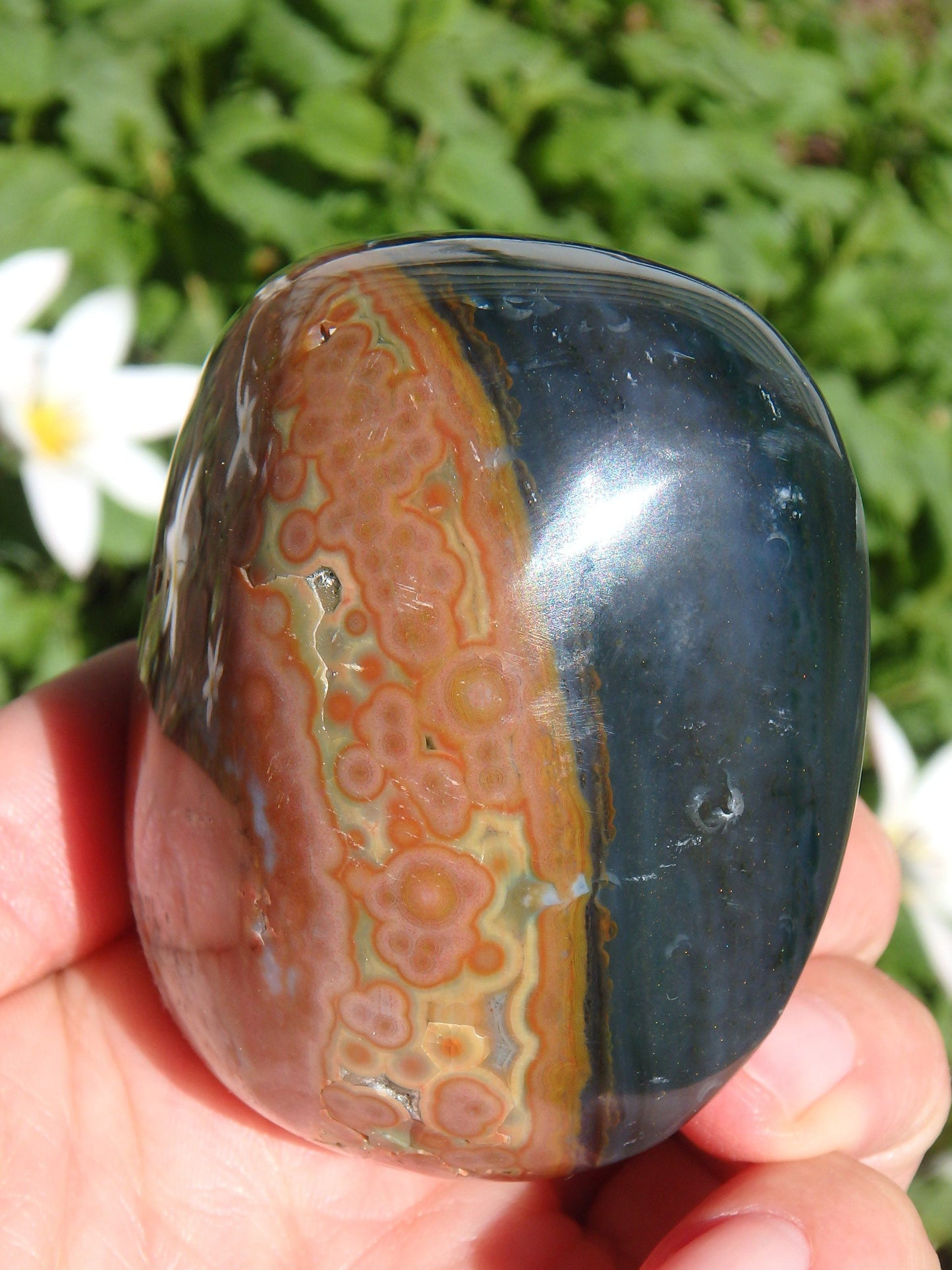  Creamy Orbs and Caves Madagascar Ocean Jasper Specimen