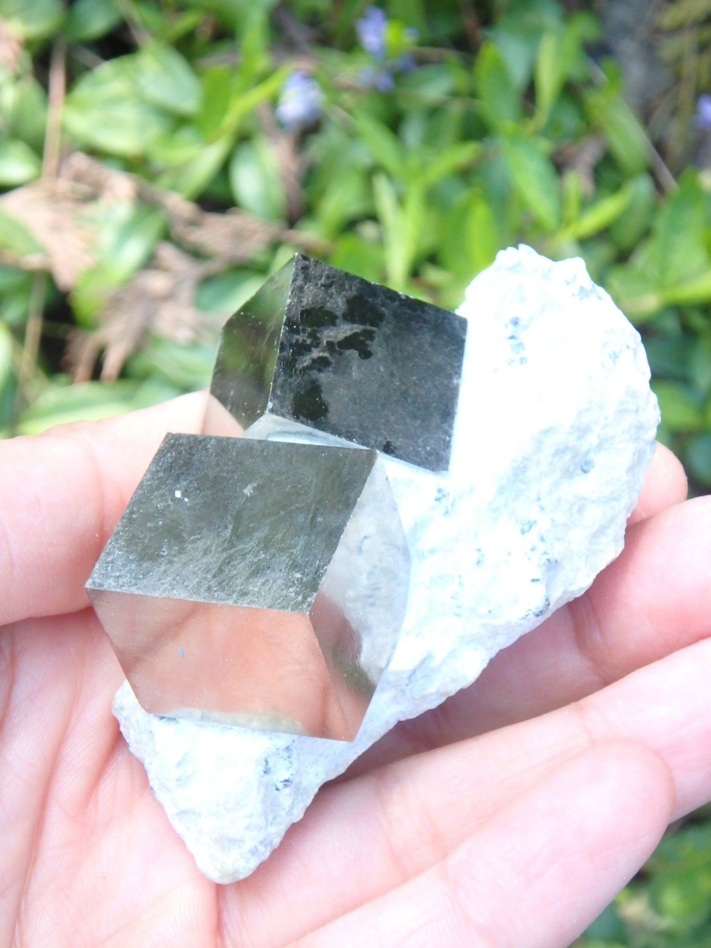  Completely Natural Double Cubic Pyrite in Matrix From Spain