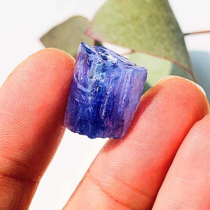  19CT High Grade Gemmy Tanzanite Specimen in Collectors Box #2