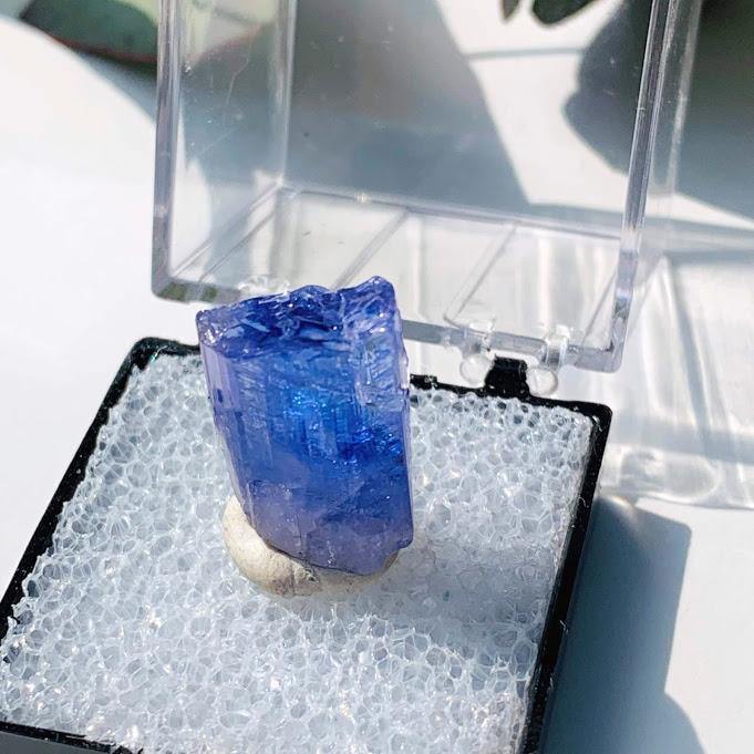  19CT High Grade Gemmy Tanzanite Specimen in Collectors Box #2